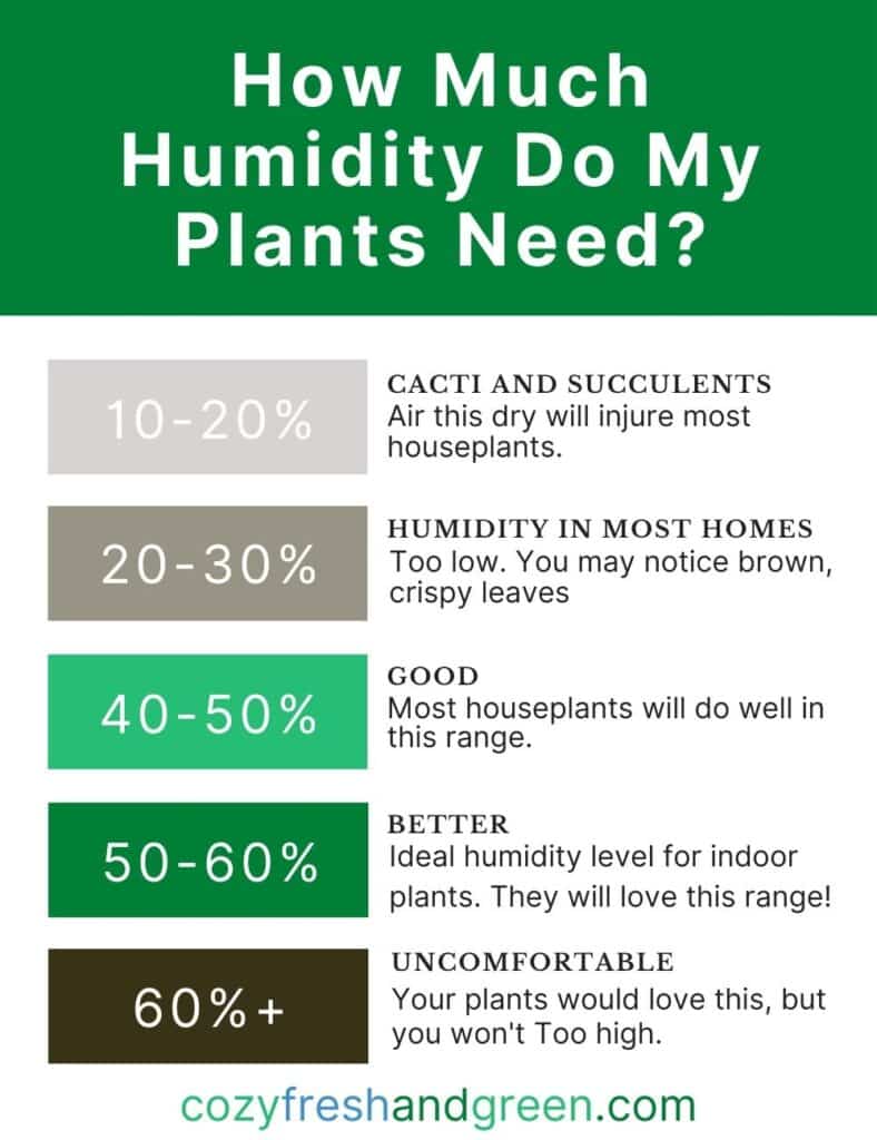 how much humidity do plants need