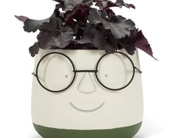 cute face planter