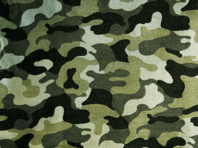 example of camouflage