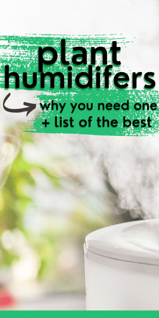 plant humidifiers pin